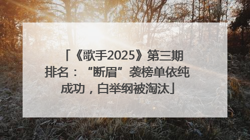 《歌手2025》第三期排名：“断眉”袭榜单依纯成功，白举纲被淘汰