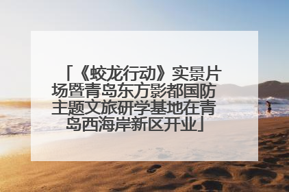 《蛟龙行动》实景片场暨青岛东方影都国防主题文旅研学基地在青岛西海岸新区开业