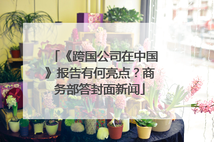 《跨国公司在中国》报告有何亮点？商务部答封面新闻