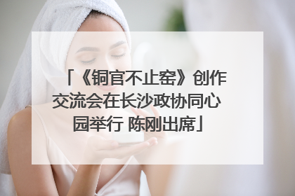 《铜官不止窑》创作交流会在长沙政协同心园举行 陈刚出席