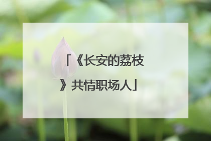 《长安的荔枝》共情职场人