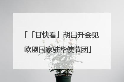 「甘快看」胡昌升会见欧盟国家驻华使节团