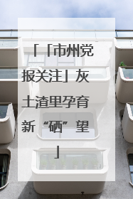 「市州党报关注」灰土渣里孕育新“硒”望