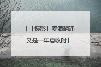 「摄影」麦浪翻涌 又是一年夏收时