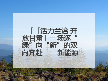 「活力兰洽 开放甘肃」一场逐“绿”向“新”的双向奔赴——新能源及新能源装备制造产业投资发展对接活动扫描