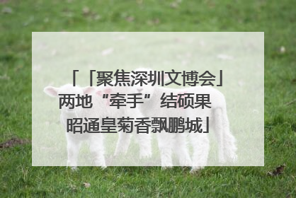 「聚焦深圳文博会」两地“牵手”结硕果 昭通皇菊香飘鹏城
