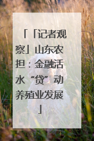 「记者观察」山东农担：金融活水“贷”动养殖业发展