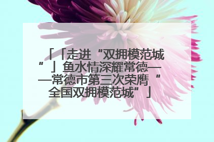 「走进“双拥模范城”」鱼水情深耀常德——常德市第三次荣膺“全国双拥模范城”