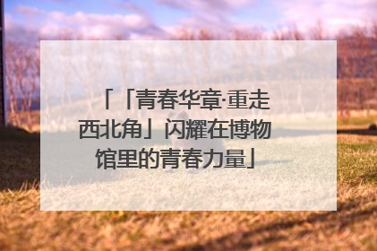 「青春华章·重走西北角」闪耀在博物馆里的青春力量