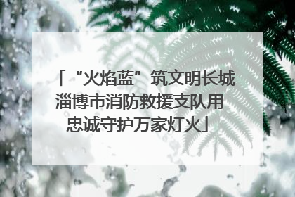 “火焰蓝”筑文明长城 淄博市消防救援支队用忠诚守护万家灯火