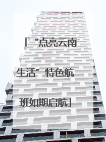 “点亮云南生活”特色航班如期启航