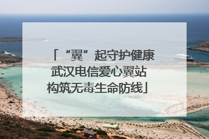 “翼”起守护健康 武汉电信爱心翼站构筑无毒生命防线