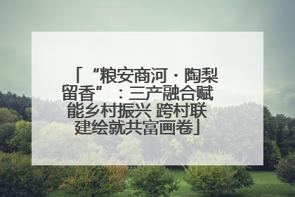 “粮安商河・陶梨留香”：三产融合赋能乡村振兴 跨村联建绘就共富画卷