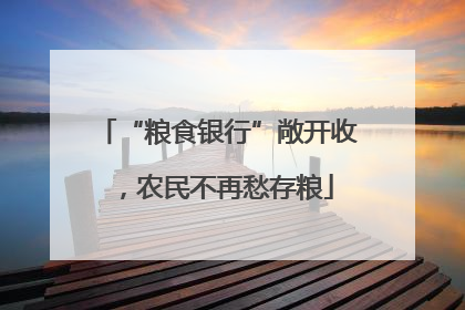 “粮食银行”敞开收，农民不再愁存粮