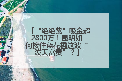 “绝绝紫”吸金超2800万！昆明如何接住蓝花楹这波“泼天富贵”？