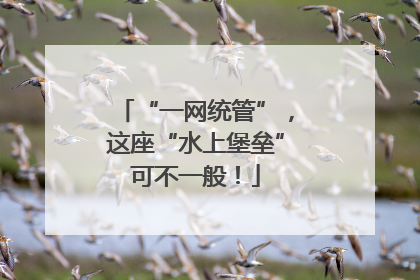 “一网统管”，这座“水上堡垒”可不一般！