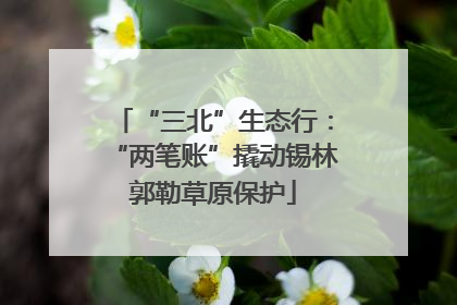 “三北”生态行：“两笔账”撬动锡林郭勒草原保护