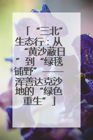 “三北”生态行：从“黄沙蔽日”到“绿毯铺野”——浑善达克沙地的“绿色重生”