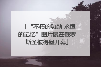 “不朽的功勋 永恒的记忆”图片展在俄罗斯圣彼得堡开幕