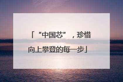 “中国芯”，珍惜向上攀登的每一步