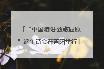 “中国陵阳·致敬屈原”端午诗会在青阳举行