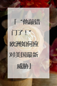 “他敲错门了！” 欧洲如何应对美国最新威胁