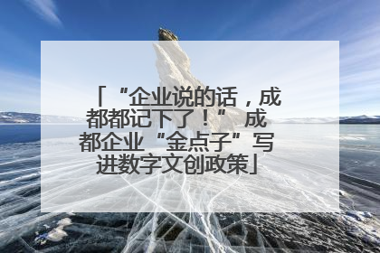 “企业说的话，成都都记下了！” 成都企业“金点子”写进数字文创政策