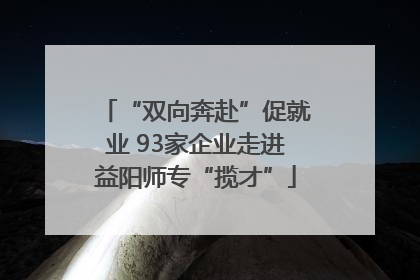 “双向奔赴”促就业 93家企业走进益阳师专“揽才”