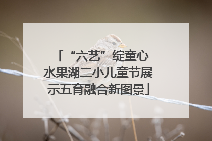 “六艺”绽童心 水果湖二小儿童节展示五育融合新图景