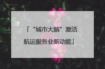 “城市大脑”激活航运服务业新动能
