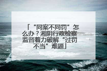 “同案不同罚”怎么办？湘阴行政检察监督着力破解“过罚不当”难题