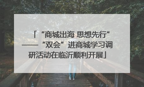“商城出海 思想先行”——“双会”进商城学习调研活动在临沂顺利开展