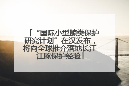 “国际小型鲸类保护研究计划”在汉发布，将向全球推介落地长江江豚保护经验