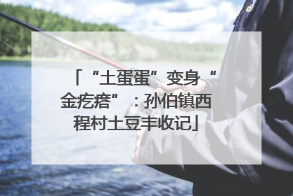 “土蛋蛋”变身“金疙瘩”：孙伯镇西程村土豆丰收记