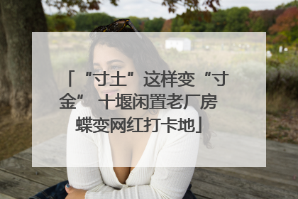 “寸土”这样变“寸金” 十堰闲置老厂房蝶变网红打卡地