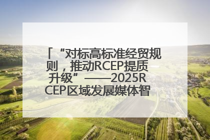 “对标高标准经贸规则，推动RCEP提质升级”——2025RCEP区域发展媒体智库论坛举行专题对话
