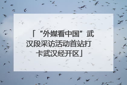 “外媒看中国”武汉段采访活动首站打卡武汉经开区