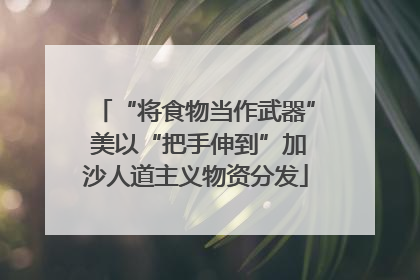 “将食物当作武器” 美以“把手伸到”加沙人道主义物资分发