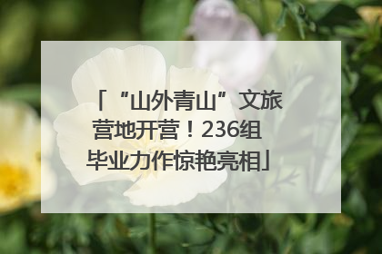 “山外青山”文旅营地开营！236组毕业力作惊艳亮相
