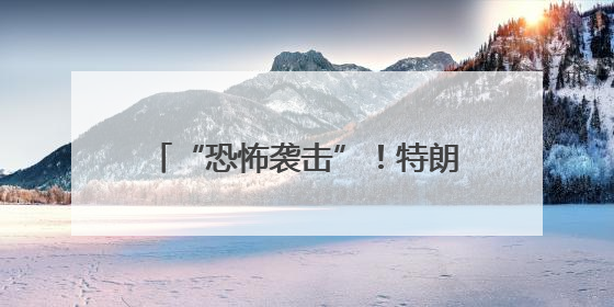 “恐怖袭击”！特朗普：美国绝不容忍