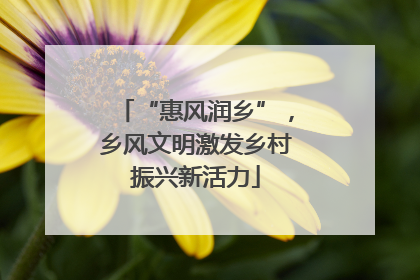 “惠风润乡”，乡风文明激发乡村振兴新活力