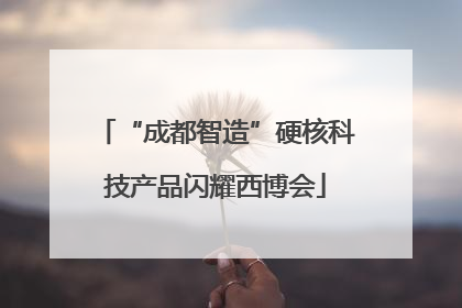 “成都智造”硬核科技产品闪耀西博会