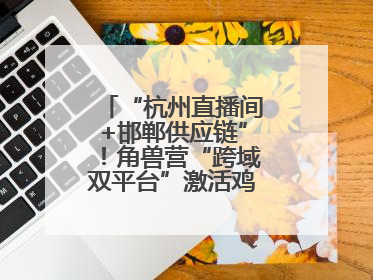 “杭州直播间+邯郸供应链”！角兽营“跨域双平台”激活鸡泽产业新动能