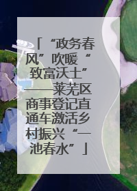 “政务春风”吹暖“致富沃土”——莱芜区商事登记直通车激活乡村振兴“一池春水”