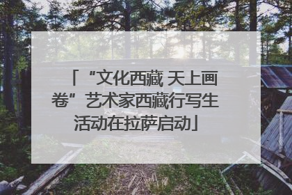 “文化西藏 天上画卷”艺术家西藏行写生活动在拉萨启动
