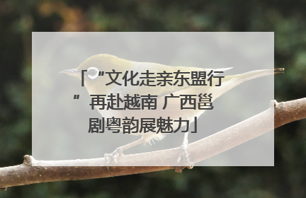 “文化走亲东盟行”再赴越南 广西邕剧粤韵展魅力