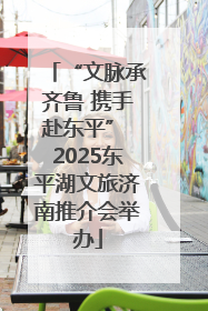 “文脉承齐鲁 携手赴东平” 2025东平湖文旅济南推介会举办