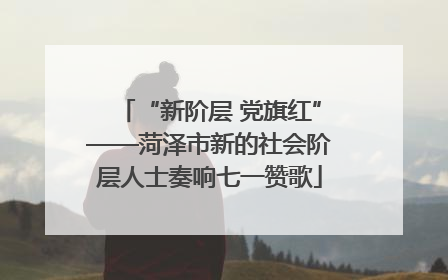 “新阶层 党旗红”——菏泽市新的社会阶层人士奏响七一赞歌