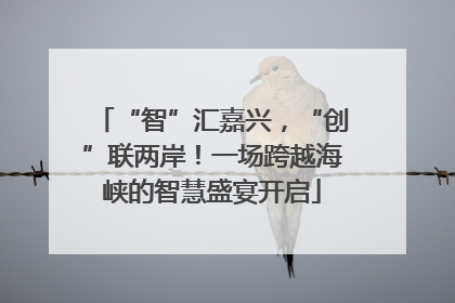 “智”汇嘉兴，“创”联两岸！一场跨越海峡的智慧盛宴开启