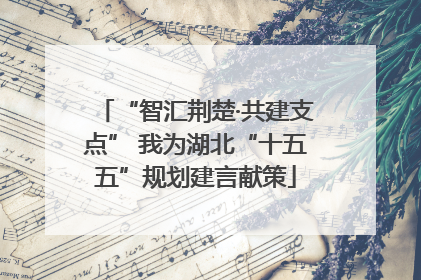 “智汇荆楚·共建支点” 我为湖北“十五五”规划建言献策